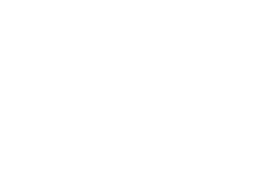 Águilas Guadalupanas