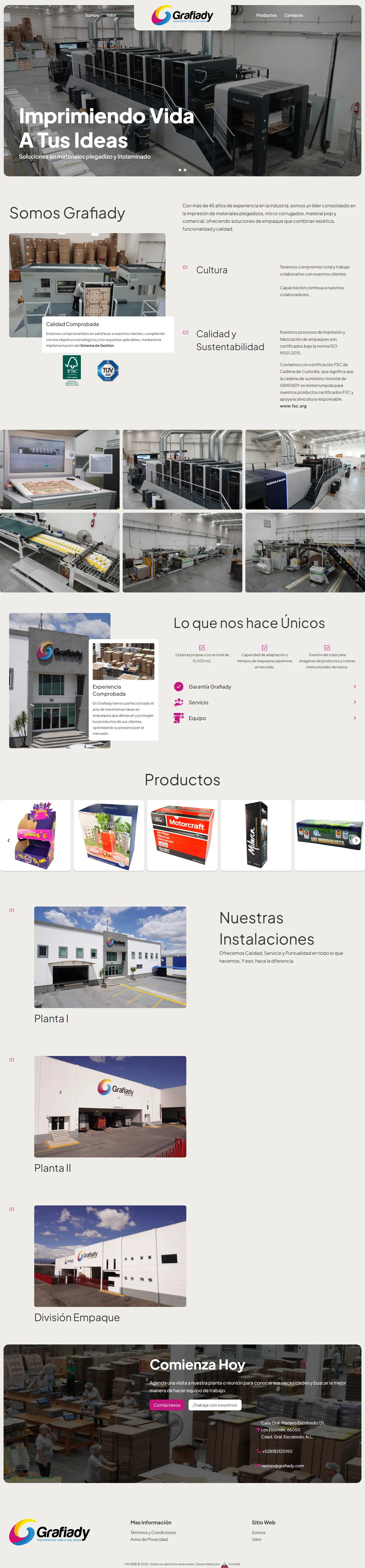 Portada del sitio web de Grafiady
